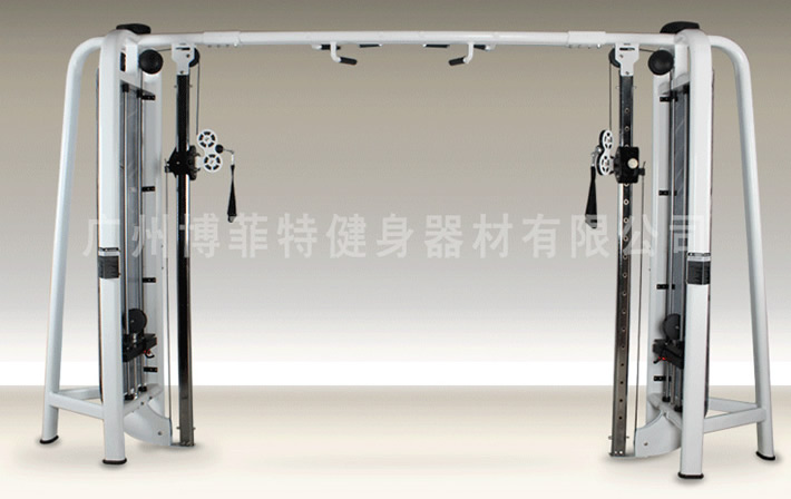 大飛鳥(niǎo)龍門架訓(xùn)練器
